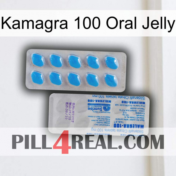 Kamagra 100 Oral Jelly new15.jpg